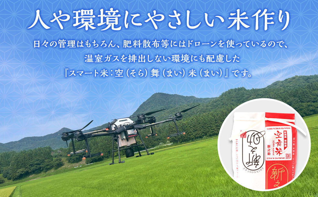 【令和6年産米】空舞米 岩船産 新之助 精米 12kg 1063002