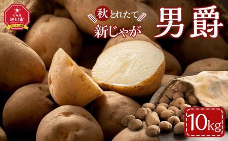 【先行予約】2025年10月より発送　新じゃが　男爵いも　10kg　北海道産のじゃがいも  ｜ じゃがいも じゃがいも じゃがいも じゃがいも じゃがいも _04858