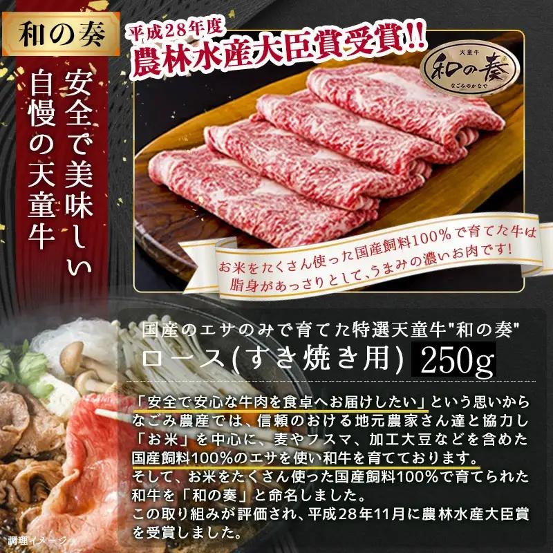 農林水産大臣賞受賞 特選 天童牛 和の奏 ロース すき焼き用 250g 山形牛