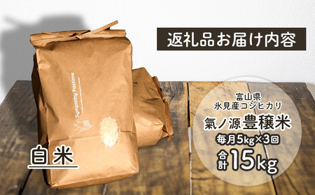 ＜3ヶ月定期便＞ 令和7年産 富山県産コシヒカリ 5kg お米自慢コンクール優秀賞！ 米 コシヒカリ 頒布 定期便 白米 精米 富山県 氷見市