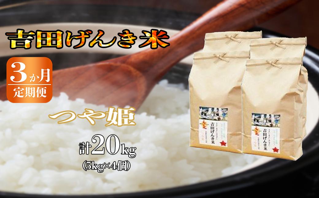 
【定期便3か月連続お届け】「吉田げんき米」つや姫20kg（5kg×4）【島根県産 雲南市産 ブランド米 米 お米 白米 コメ こめ おこめ ライス 精米 ふっくら ツヤツヤ 炊き立て 甘い 美味しい 家庭用 ふるさと ご飯 おうちご飯 袋 自然 天然 送料無料 定番 朝食 昼食 夜食】
