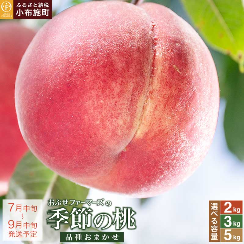 【ふるさと納税】桃 もも 季節の桃 約2kg 約3kg 約5kg 選べる 内容量［ おぶせファーマーズ ］ モモ ピーチ フルーツ 果物 あかつき 川中島白鳳 なつっこ 川中島白桃 黄金桃 だて白桃 先行予約 長野県産 クール便 冷蔵便 産地直送 令和7年産【2025年7月中旬～9月中旬発送】
