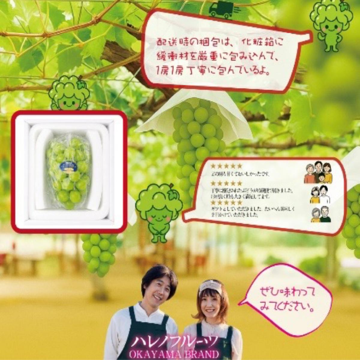 シャインマスカット 晴王 ハレノシャイン 木熟ぶどう プレミアム 800g以上 1房 岡山県産 ぶどう 葡萄 大房