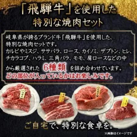 飛騨牛厳選焼肉6種詰め合わせ計600g【配送不可地域：離島】【1778142】