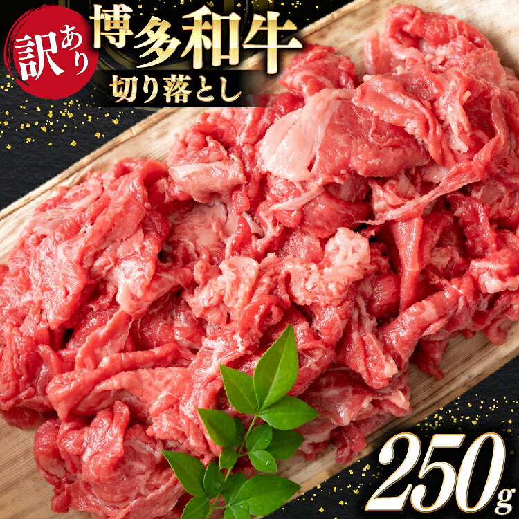 【ふるさと納税】 牛肉 訳あり A4 A5 博多和牛 切り落とし 250g [木村食品 福岡県 宇美町 um40beg040039] 訳アリ 牛 肉 牛バラ 肩肉 バラ肉