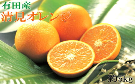 【先行予約】【濃厚】有田産清見オレンジ約5kg（サイズおまかせ 青秀以上）　※2027年2月中旬～2027年3月中旬頃発送予定（お届け日指定不可）/ みかん 果物 くだもの フルーツ 柑橘 オレンジ 清見オレンジ みかん【tec958】