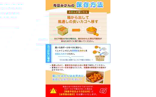 【2025年11月発送予約分】＼光センサー選別／ 【農家直送】【家庭用】こだわりの有田みかん 約6kg＋250g(傷み補償分) 先行予約 有機質肥料100% サイズ混合 【11月発送】みかん ミカン 