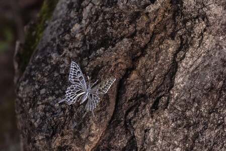 アゲハ蝶ネックレス　シルバーカラー　All insects　【セレブ御用達】【世界50個限定】