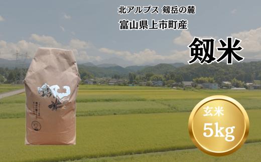 【令和7年産】上市町産コシヒカリ「剱米」（玄米）5kg　 [ソムリエH 富山県 上市町 32280235-r6-03] 　お米 コメ ご飯 ごはん 玄米ご飯 玄米ごはん こしひかり