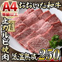 【ふるさと納税】おおいた和牛 上カルビ 焼肉 (250g) 国産 牛肉 肉 霜降り 低温熟成 A4 和牛 ブランド牛 カルビ BBQ 冷凍 大分県 佐伯市【DH219】【(株)ネクサ】