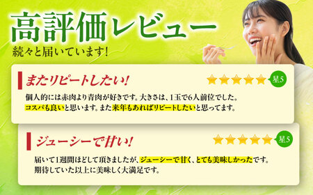肥後グリーンメロン2玉熊本メロンめろんZCN003