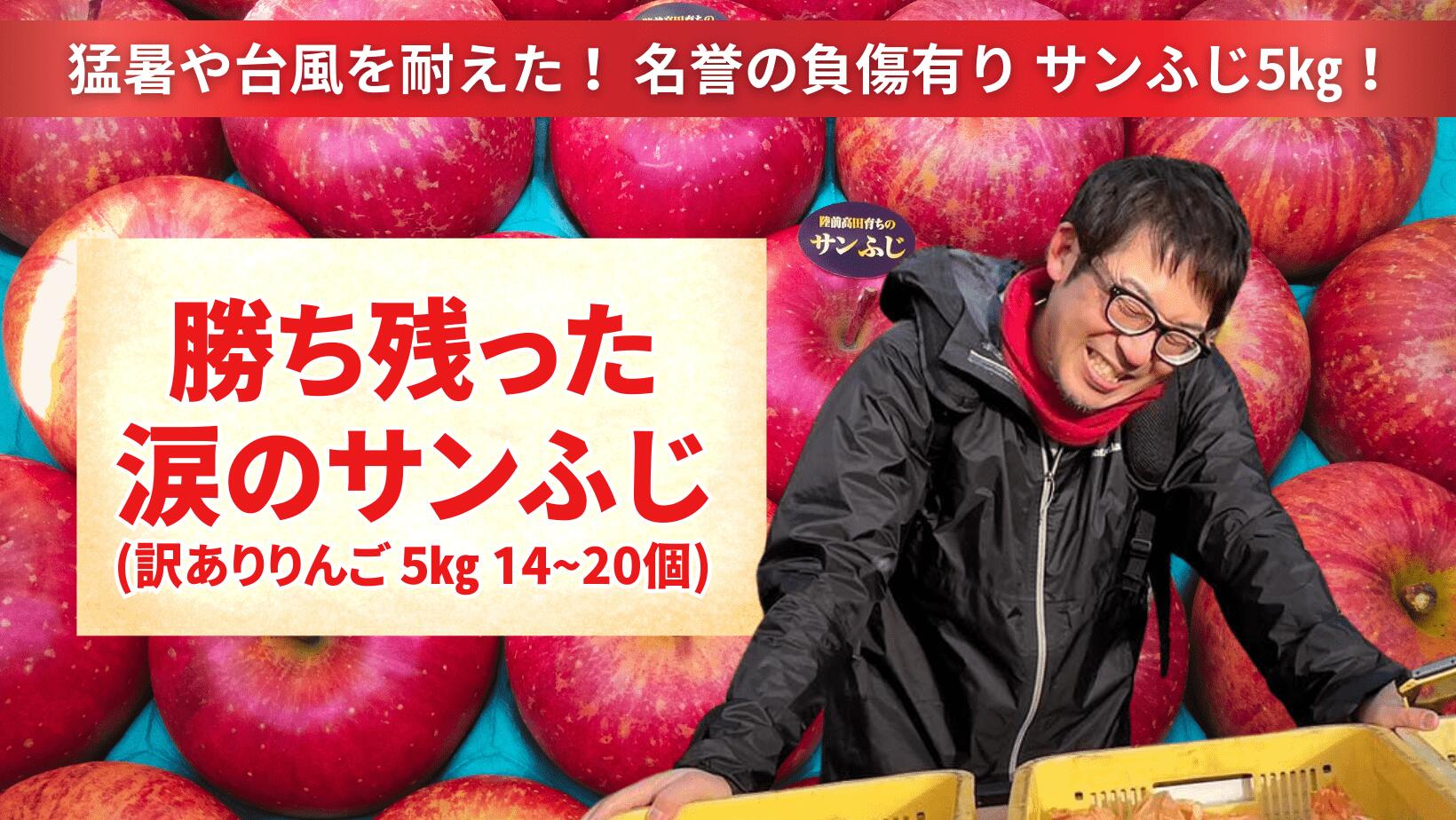 【ふるさと納税】訳あり りんご サンふじ 約 5kg ( 14〜20個 ) 米崎りんご 【 リンゴ 林檎 フルーツ 果物 くだもの 旬 わけあり 訳アリ 人気 おすすめ お取り寄せ リピート セット 詰め合わせ 勝ち残った涙のサンふじ 国産 岩手 陸前高田 イドバダアップル 】