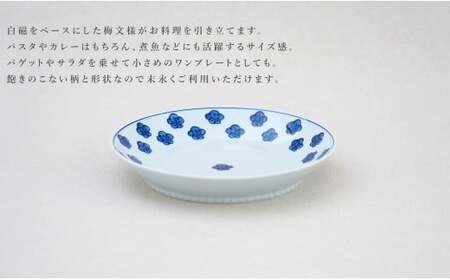 有田焼 染付梅散し 深皿【源右衛門窯】食器 器 うつわ パスタ皿 カレー皿 手描き ad093