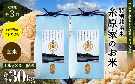 新米 令和8年産（玄米）【定期便 全3回】特別栽培米「糸原家のお米」高野町産 コシヒカリ 10キロ(5キロ×2袋) | 10kg×3回 合計30kg 3ヶ月 3ヵ月 3か月