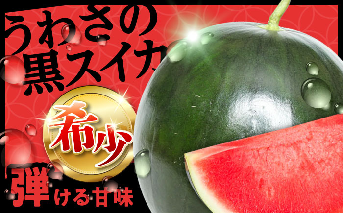 【先行予約・7月以降発送】尺玉西瓜 1玉（約7kg～9kg） 日田市 / JAおおいた [AREW001]