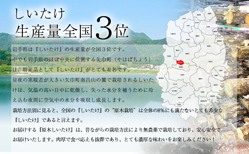 2025年2月発送　希少！原木しいたけ「生椎茸」1kg