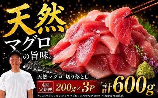 【4回定期便】天然マグロ切り落とし 200g×3P│天然マグロ 切り落とし 刺身 マグロ丼 冷凍 高知県 ふるさと納税 キハダマグロ ビンチョウマグロ メバチマグロ 海鮮 お取り寄せ グルメ 時短 簡単調理 解凍するだけ 一口サイズ 手巻き寿司 具材 ユッケ カルパッチョ 漬け丼 おかず おつまみ ギフト 贈答 贅沢 人気 おすすめ 産地直送 新鮮 晩酌  魚介