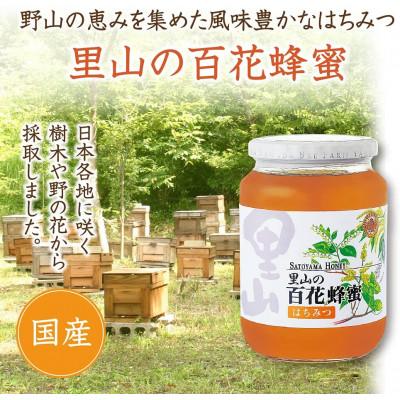 ふるさと納税 津山市 里山の百花蜂蜜 1kgビン入(3595) |  | 01