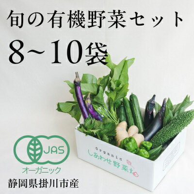 【ふるさと納税】【定期便】しあわせ野菜畑の有機野菜(Mセット)3回、6回、12回(有機JAS認証　オーガニック野菜)【配送不可地域：離島・北海道・沖縄県・四国・九州】【G4066006】