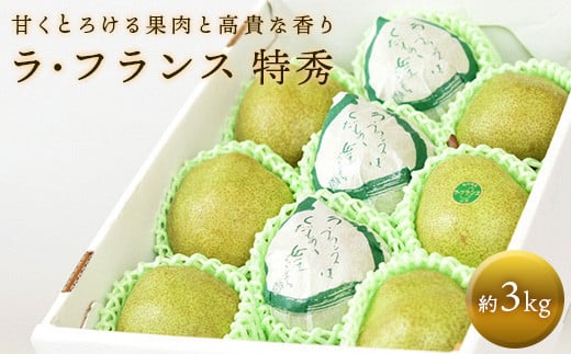 【令和7年産先行予約】 十三代目 佐藤市右衛門 ラ・フランス 約3kg (7～10玉 特秀 3～6L) 《令和7年11月上旬～発送》 『旬の果実 佐藤市右衛門農園』 ラフランス 西洋梨 洋なし 果物 フルーツ デザート 山形県 南陽市 [677]