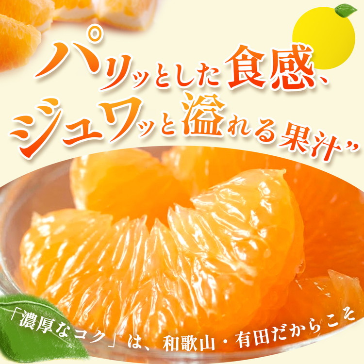 ＜1月より発送＞厳選はっさく7.5kg+250g（傷み補償分） ｜ 八朔みかん ハッサク ◇