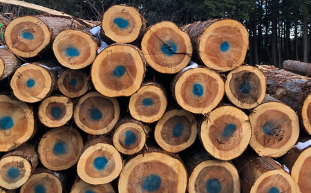 低温バイオ乾燥「郷山薪」24kg / 薪 焚き火 ストーブ アウトドア / 恵那市 /郷山ファクトリー［AUFB001］