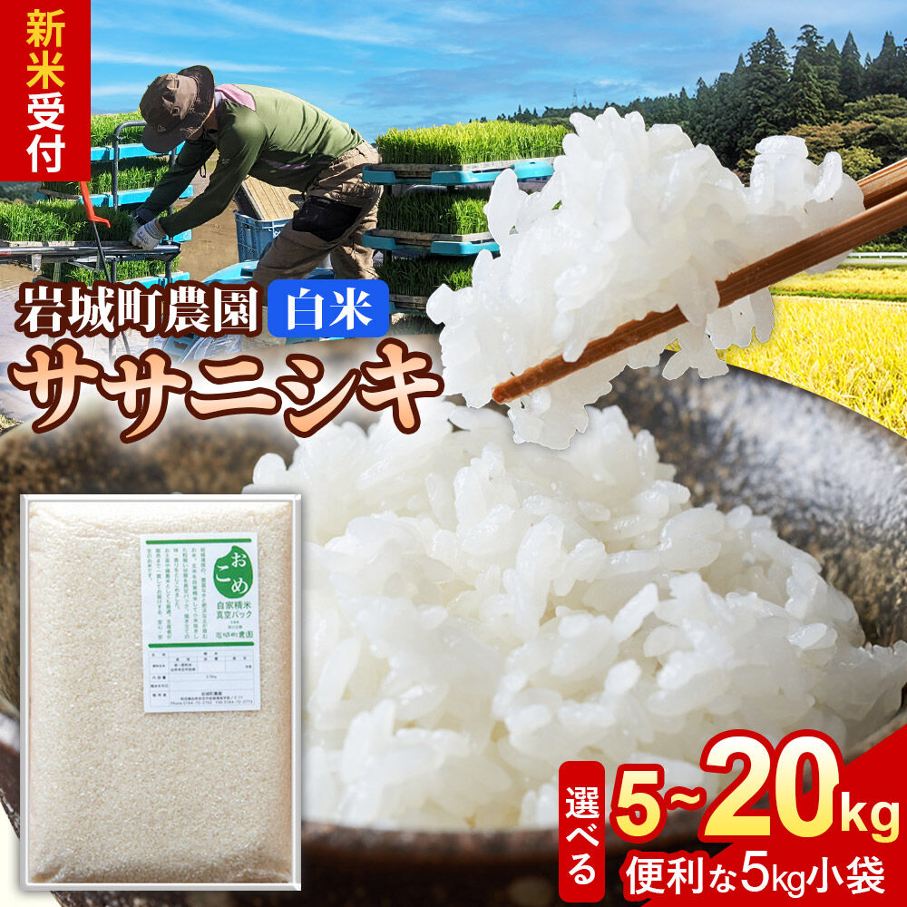 【ふるさと納税】《令和8年産 新米受付》【白米】ササニシキ【選べる 容量：5kg／10kg／15kg／20kg】秋田県 由利本荘市産 真空パック 岩城町農園 [新米予約 米 お米 精米 秋田県産 ササニシキ 白米 ブランド米 食卓 おにぎり 秋田県産]