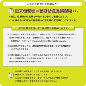 つくばみらい市産　熟成紅はるか生いも　１０ｋｇ（無選別）