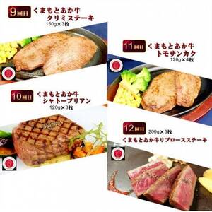 【毎月定期便】【GI認証】くまもとあか牛 食べ比べ(益城町)全12回【配送不可地域：離島】【4067036】