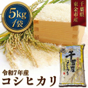 【こしひかり 5kg】令和7年度産 コシヒカリ
