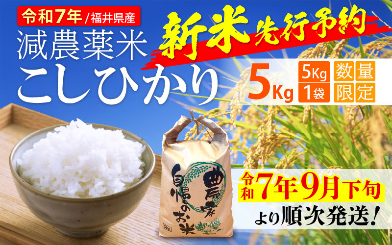 
            【令和7年産新米・先行予約】減農薬米 こしひかり 5kg 令和7年 福井県産【玄米 対応可】【令和7年9月下旬より順次発送】 [e35-a032]
          