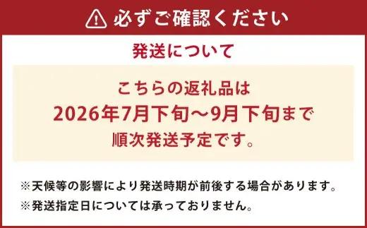 【先行予約】 吉瀬森果園 イチジク （とよみつひめ） L玉 12個入り 【2026年7月下旬-9月下旬発送予定】 いちじく 果物 くだもの フルーツ 果実 オリジナル品種 ハウス栽培 ゆりかーご お取