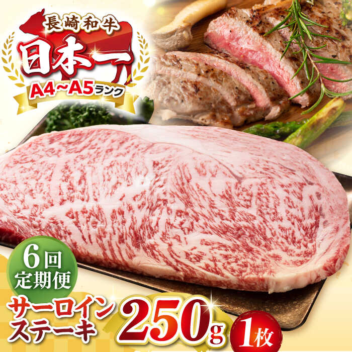 【ふるさと納税】【全6回定期便】【A4〜A5ランク】長崎和牛 サーロインステーキ 250g（250g×1枚）《壱岐市》【株式会社MEAT PLUS】 肉 牛肉 黒毛和牛 サーロイン ステーキ ご褒美 冷凍配送 A4 A5[JGH125]