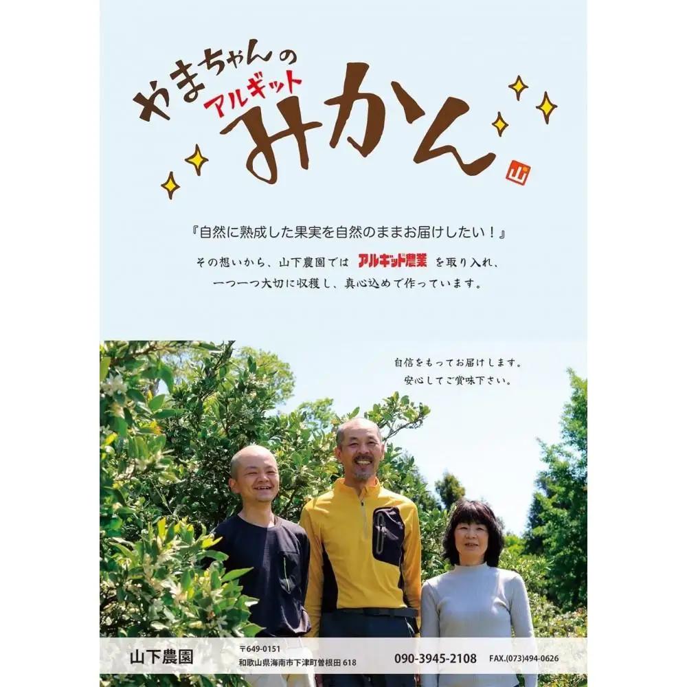 国産 バレンシアオレンジ 約5kg M～LLサイズ 山下農園