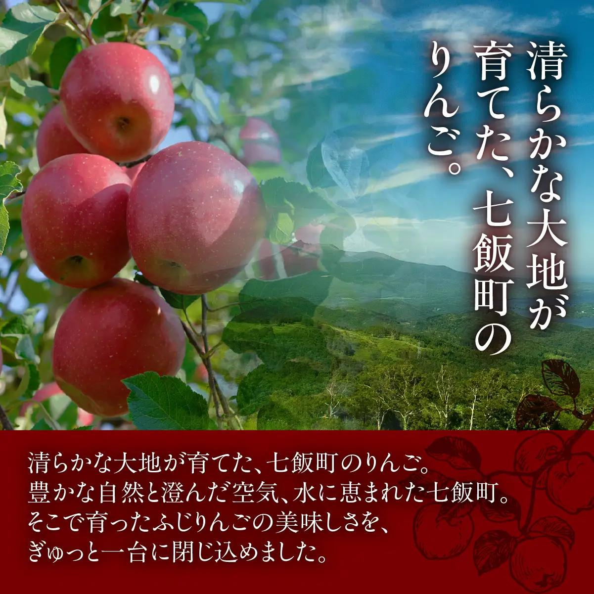 【先行予約】【2026年10月頃より順次発送】七飯町産 ふじりんごのタルトタタン  NAAS001