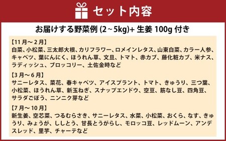 旬の野菜の詰め合わせと栽培期間中 農薬不使用の生姜100g付き 詰め合わせ 野菜セット 野菜 ギフト やさいセット お取り寄せグルメ 家庭用 旬野菜 新鮮 特産 農薬不要 食材