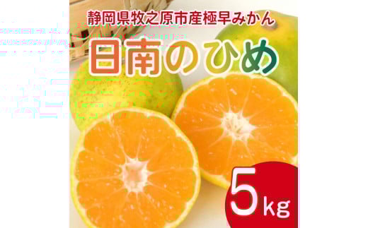 みかん 日南のひめ 5kg 先行予約 柑橘 ミカン 蜜柑 極早生 ビタミン フルーツ おいしい 早生 果物 果実 健康 美容 大石農園 静岡県 牧之原市
