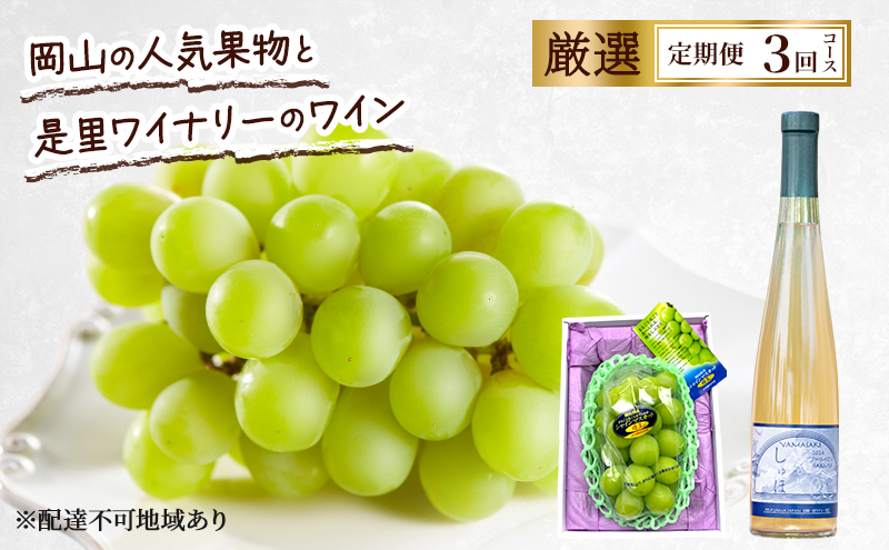 定期便 2026年 先行予約 岡山の人気果物と是里ワイナリーのワイン 厳選 3回コース ぶどう シャインマスカット 晴王 清水白桃 ワイン 赤磐市