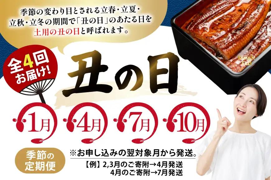 【うなぎ】 うなぎ 国産 日向うなぎ 蒲焼 中 2尾 計250g以上 4回 丑の日 定期便