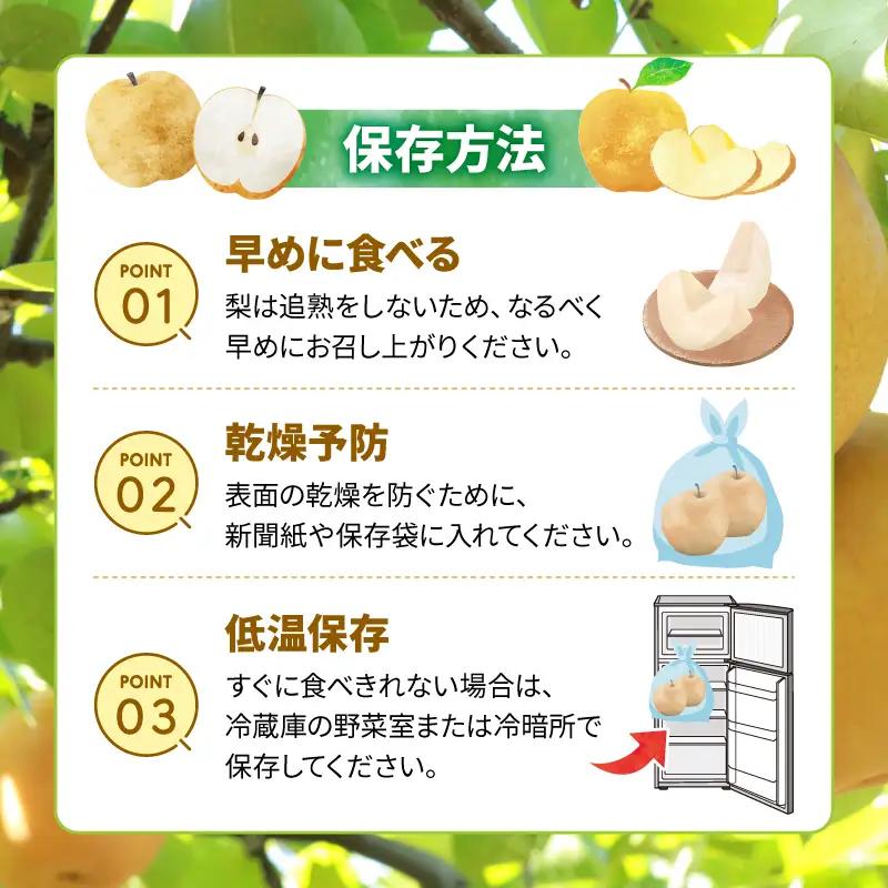 梨 5kg 豊水【2026年8月中旬頃から発送】 梨 IDG