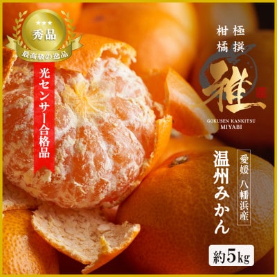 特撰柑橘【雅】光センサー合格品「八幡浜温州みかん」約5キロ 【D39−54】【配送不可地域：離島】【1491404】