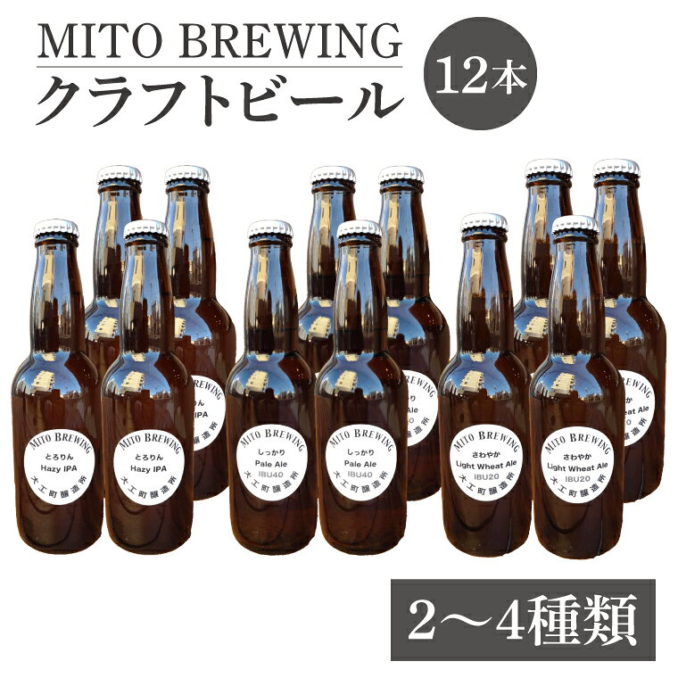 【ふるさと納税】第1回水戸さきがけビジネス大賞 優秀賞受賞！ ぬりや クラフトビール12本詰め合わせ お酒 クラフトビール ビール ふるさと納税 水戸市 茨城県（GW-2）