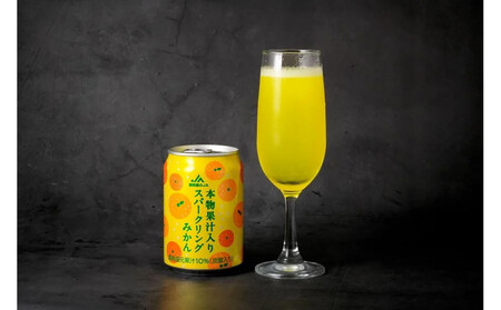 本物果汁入り　スパークリングみかん　280ml　24缶入り×1ケース□