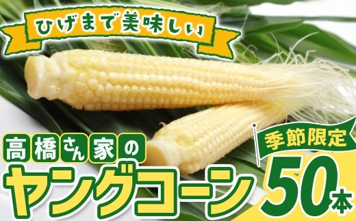 
                  【予約受付 2026年 6月下旬発送開始予定】髙橋さんの ヤングコーン 50本 国産 野菜 岩手県 北上市 夏 旬 季節限定 やさい ベビーコーン （C0233）予約 とうもろこし ヤングコーン 食材 夏野菜
                