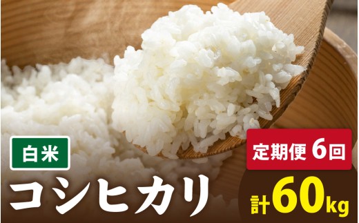 【先行予約】【6ヶ月連続お届け】【令和8年産 新米】有機JAS認証 オーガニックコシヒカリ 白米 5kg×2袋×6ヶ月（計60kg）【2026年10月より発送開始】｜ お米の定期便　白米 精米 玄米 選べる お米の定期便 米 こしひかり 福井 南越前町 うすい農園 頒布会 無農薬 有機肥料