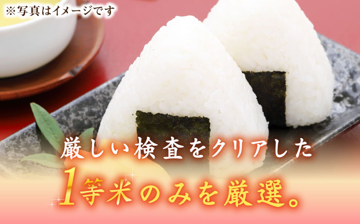 【令和5年産】福岡県産ブランド米「夢つくし」無洗米 5kg《築上町》【株式会社ゼロプラス】 [ABDD008]