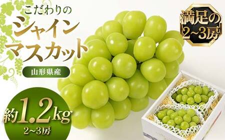 【先行予約（2026年9月より順次発送）】【満足の2～3房】こだわりのシャインマスカット 約1.2kg 山形県産 FSY-2535