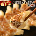 【ふるさと納税】牛肉餃子　135個（15個入り×9） ｜ 餃子 ギョウザ ぎょうざ 冷凍 冷凍食品 蒸し焼き 簡単調理 お弁当 おかず おつまみ 惣菜 肉 牛肉 和牛 ビーフ※着日指定不可※離島への配送不可