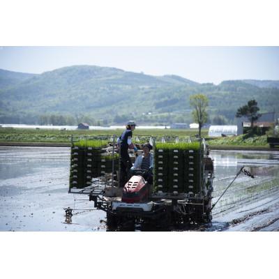 ふるさと納税 深川市 北海道産 特別栽培米ふっくりんこ 玄米 5kg×2袋 |  | 02