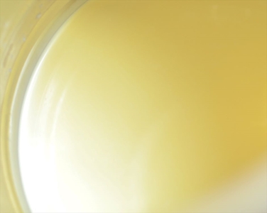 【牧場直送】薫る野牛乳180ml×12本セット　ノンホモ　低温殺菌　ジャージー牛　山地酪農　24時間365日放牧【 薫る野牧場 神奈川県 山北町 】